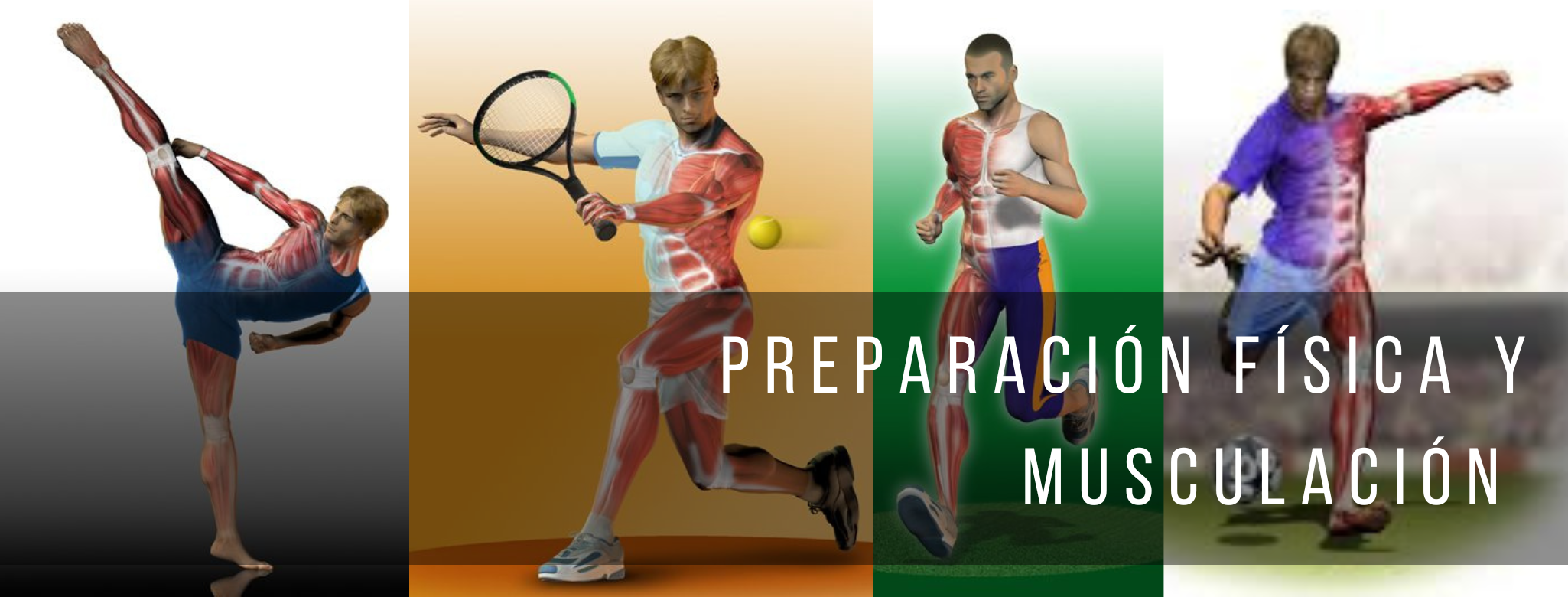 PREPARACIÓN FÍSICA Y MUSCULAR